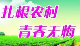 大學(xué)生村官選調(diào)生是公務(wù)員嗎？村官選調(diào)生和選調(diào)生什么區(qū)別？有編制嗎？