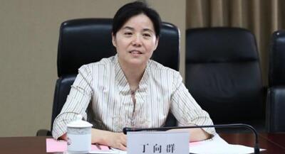 廣西副主席丁向群，調(diào)任安徽省委常委、組織部部長，曾任國開行副行長(丁向群簡歷)