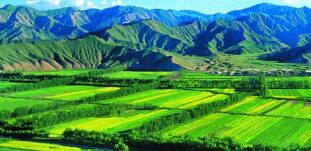 廣西農(nóng)村投資集團(tuán)待遇怎么樣？廣西農(nóng)業(yè)信貸擔(dān)保公司工資多少？中層如何？