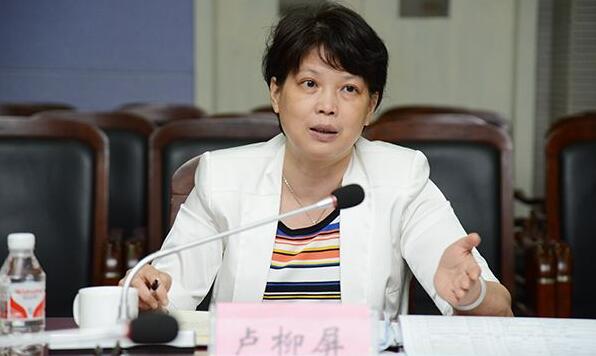 盧柳屏簡(jiǎn)歷：柳州市副市長(zhǎng)盧柳屏，曾任柳州績(jī)效辦主任